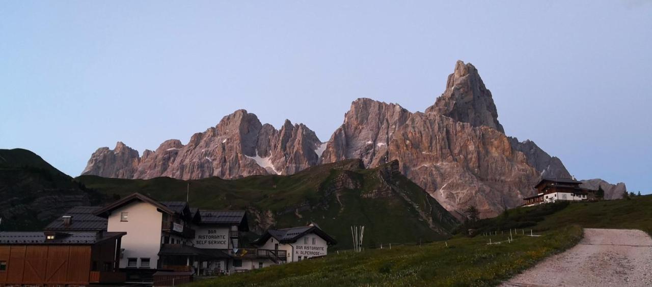 Hotel Alpenrose Passo Rolle Exterior photo